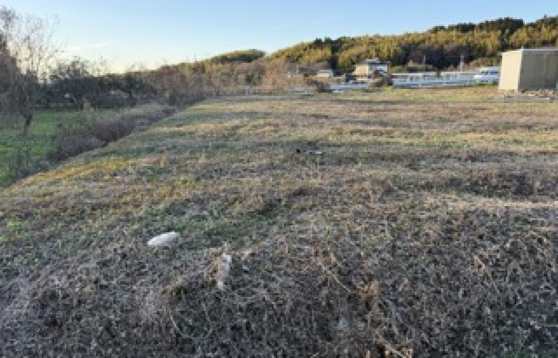 鹿本町高橋の土地の写真