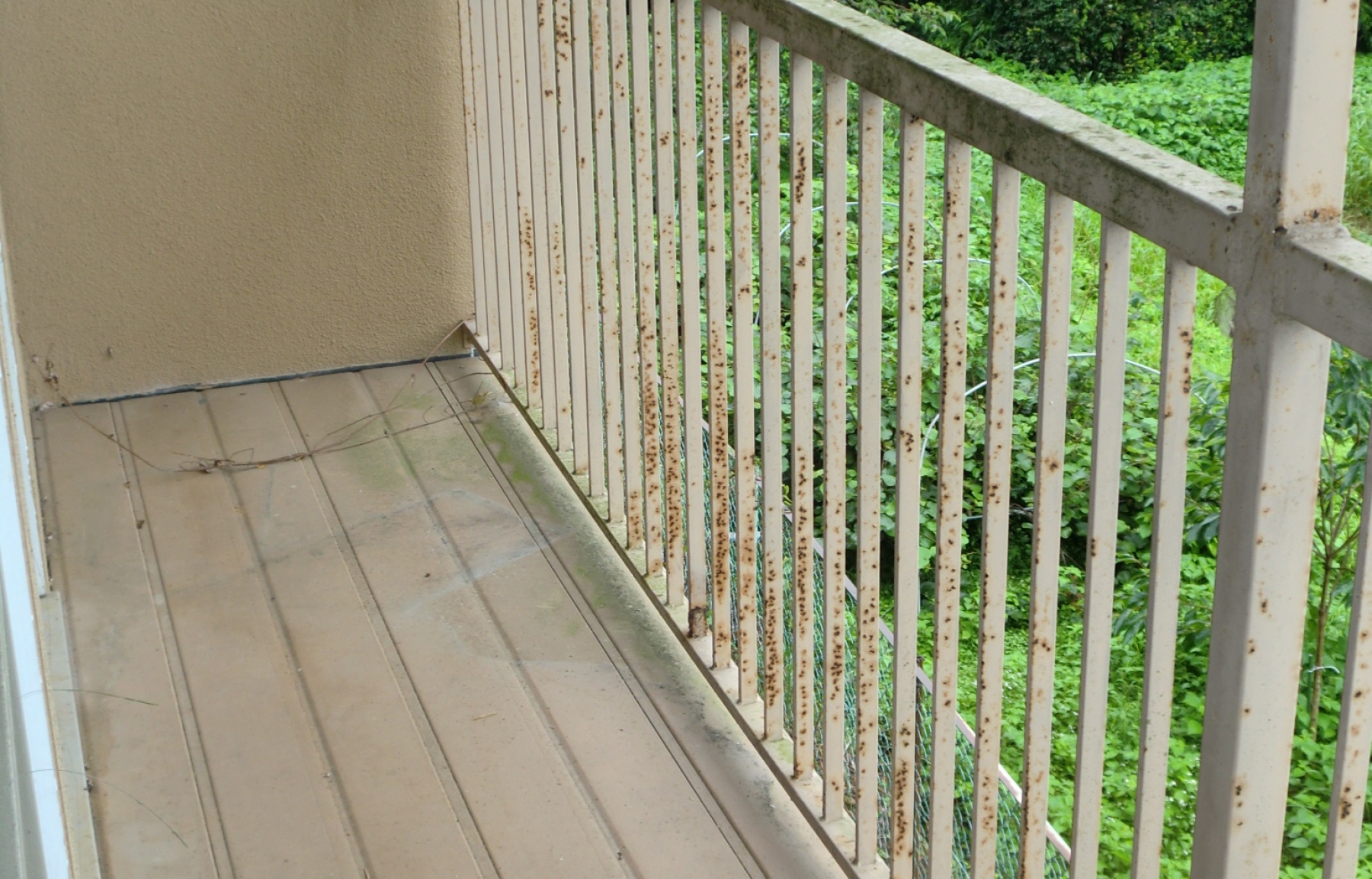 ヤマトハウス305号の写真